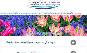 Acesse o site