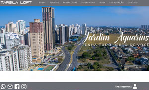 Acesse o site