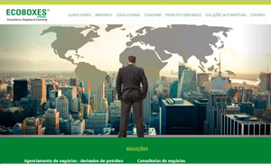 Acesse o site