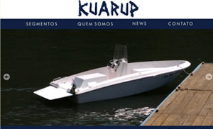 Acesse o site