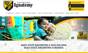 Acesse o site