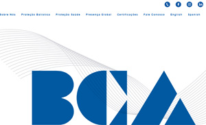 Acesse o site