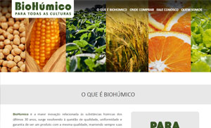 Acesse o site