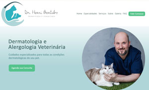 Acesse o site