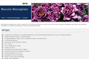 Acesse o site
